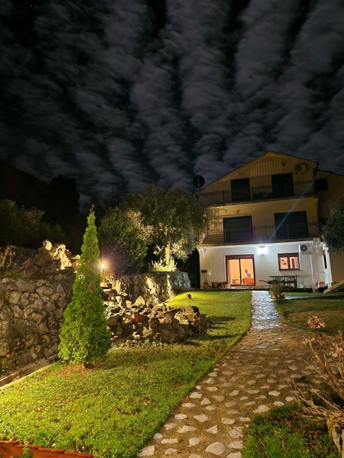Forest Guest house *