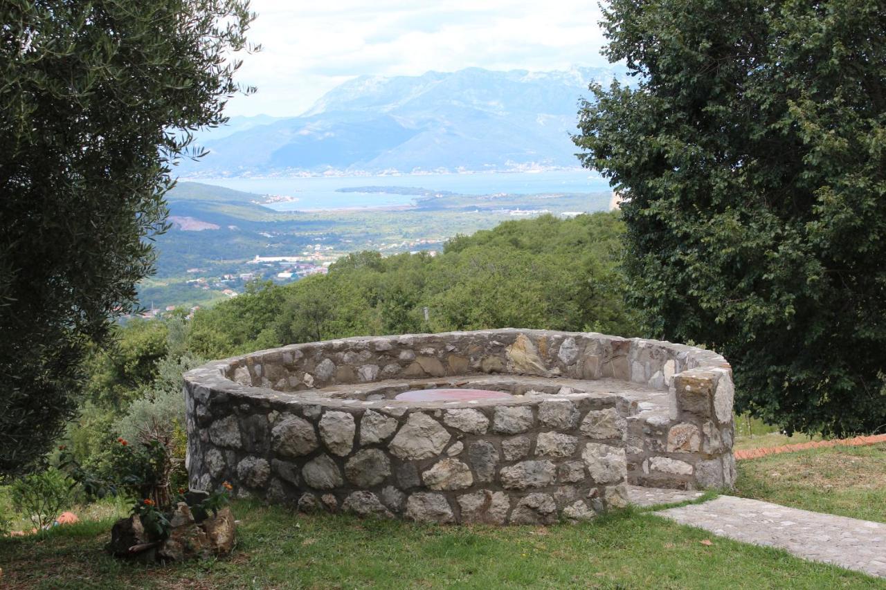 Guest house Forest Kotor