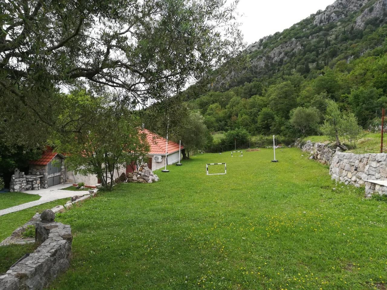 Guest house Forest Kotor