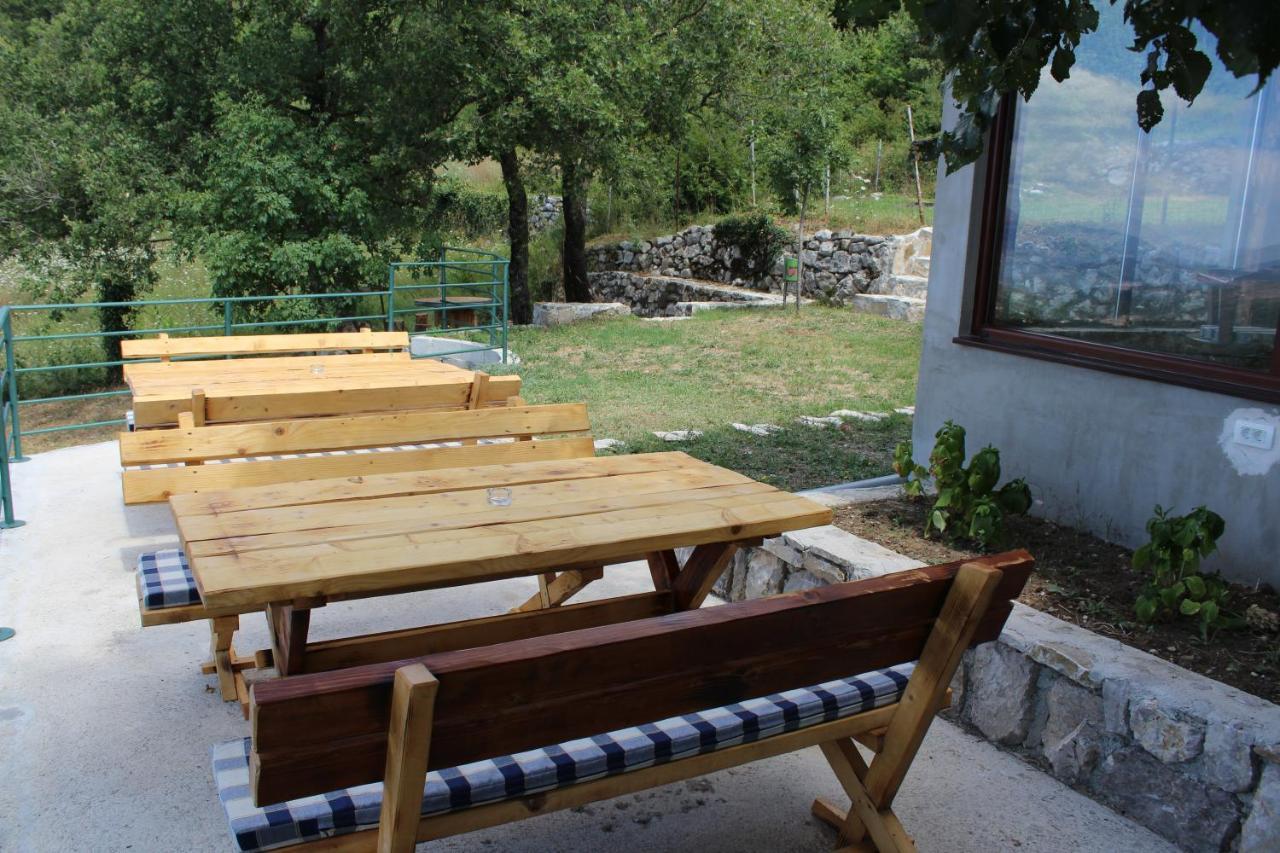 Forest Guest house