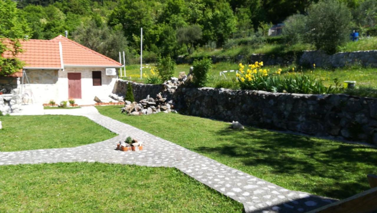 Forest Guest house Kotor